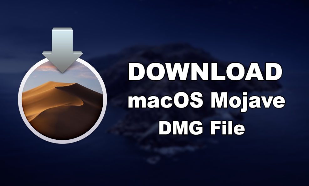 Mac os installer vs dmg